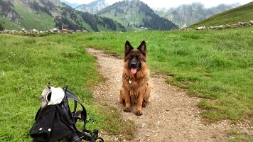 IMG-20160621-WA0006