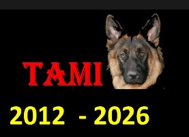 Tami-cover